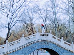 -滨河世纪广场公园