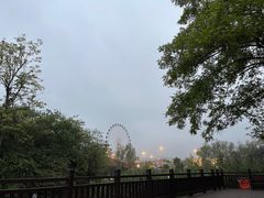 -洋湖国家湿地公园