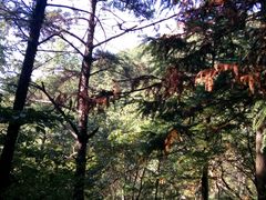 -昆嵛山石门里景区