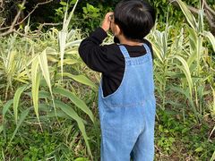 -同里国家湿地公园