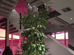 -新沸腾鱼乡(世贸天阶店)