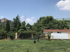 -趣玩宠物乐园寄养训犬训狗游泳池