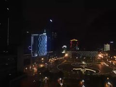 -成都明宇丽雅饭店