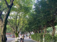 -西南政法大学(渝北校区)