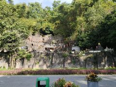 -东莞市大岭山森林公园