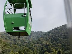 -野象谷景区