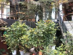 -乡村小榭饭店