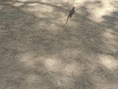 -东姑阿都拉曼海洋公园
