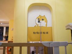 -喜柴咖啡·柴犬狗咖