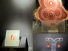 -湖南省地质博物馆