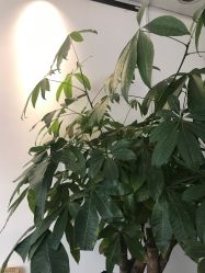 -新龙门刺青·纹身