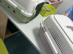 -东日国际动物医院·CT·心脏专科(桃源分院)