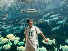 -波塞冬旅游度假区