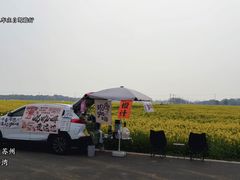 -西京湾花海