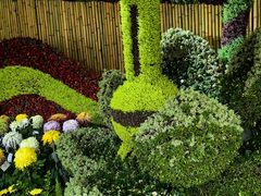 -杭州植物园