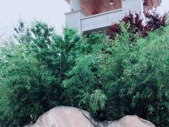 -斯瑞特国际酒店