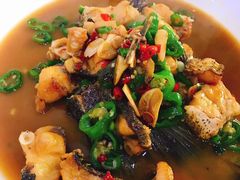 -全乐鱼馆·淳牌有机鱼直营店