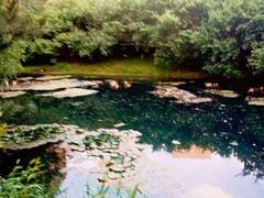 -长白岛森林公园