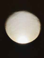 -隐逸SPA