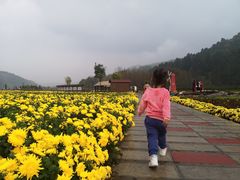 -玉华宫景区