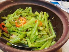 啫啫通菜梗-津津菜馆(绝没分店)