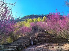 -天台山赤城山景区