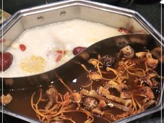 -新草堂锅物料理(泉城路店)
