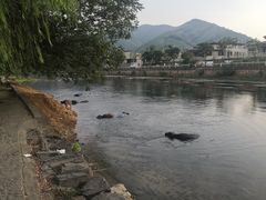 -杭州双溪漂流景区