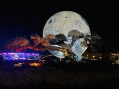 -龙天小镇
