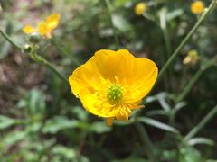 -白草畔自然风景区