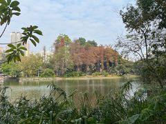 -晓港公园