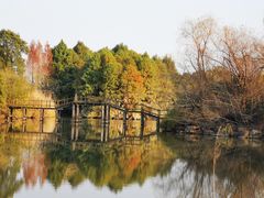 -梁鸿国家湿地公园