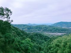 -广州市帽峰山景区