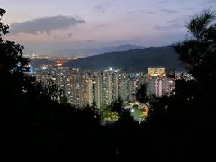 -福道