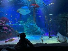 -沈阳海洋探索中心