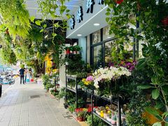 -溪岸路花鸟市场