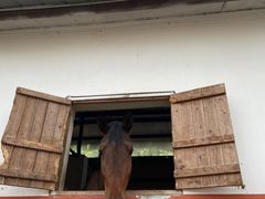 -重庆和泰马术俱乐部