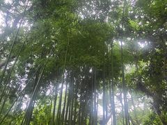 -渌洋湖湿地公园