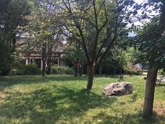 -西安青龙寺遗址景区