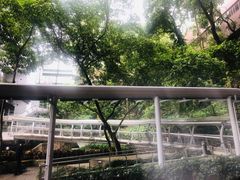 -香港大学