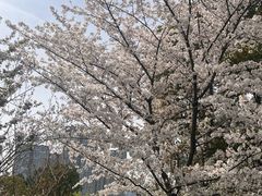 -苏州东太湖生态园