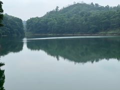 -红花湖景区