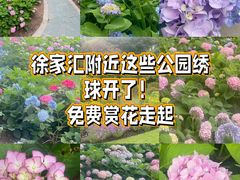 -徐家汇公园