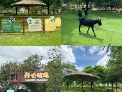 -盈香心动乐园