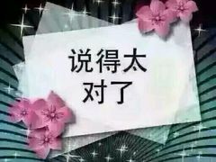 -彤德莱火锅(果园路店)