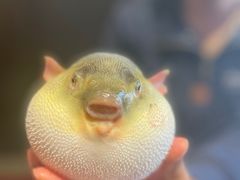 -永安鱼庄·镇江菜(东吴路店)