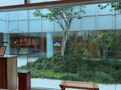 -新加坡丽思卡尔顿美年酒店