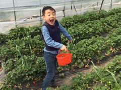 -上海多利农业发展有限公司