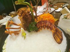 -半岛翡丽海鲜自助餐厅(观风亭店)