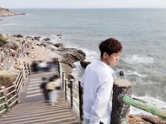 -广东惠东海龟国家级自然保护区